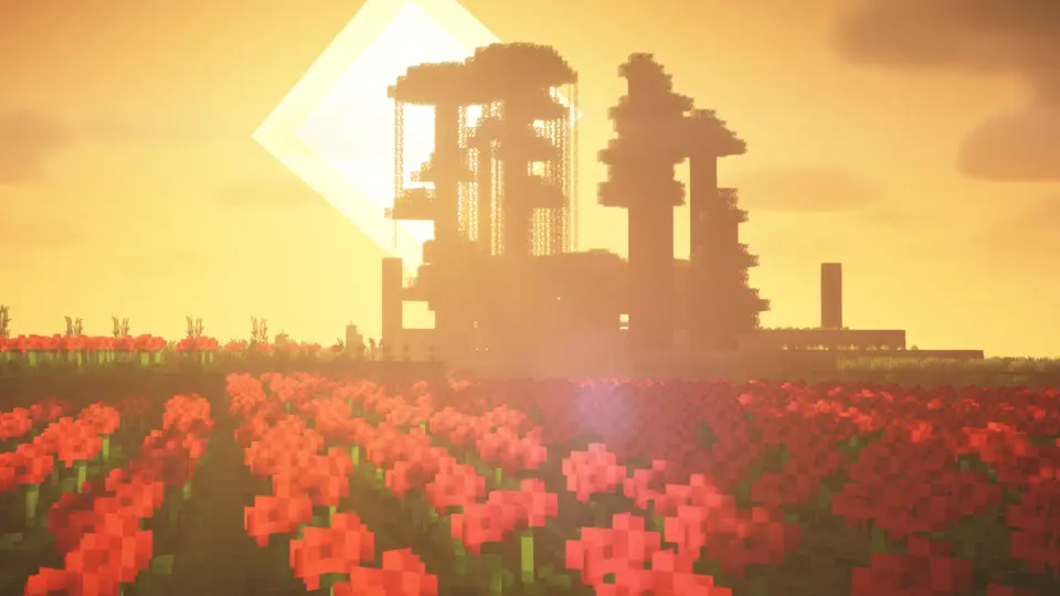 Маковое поле